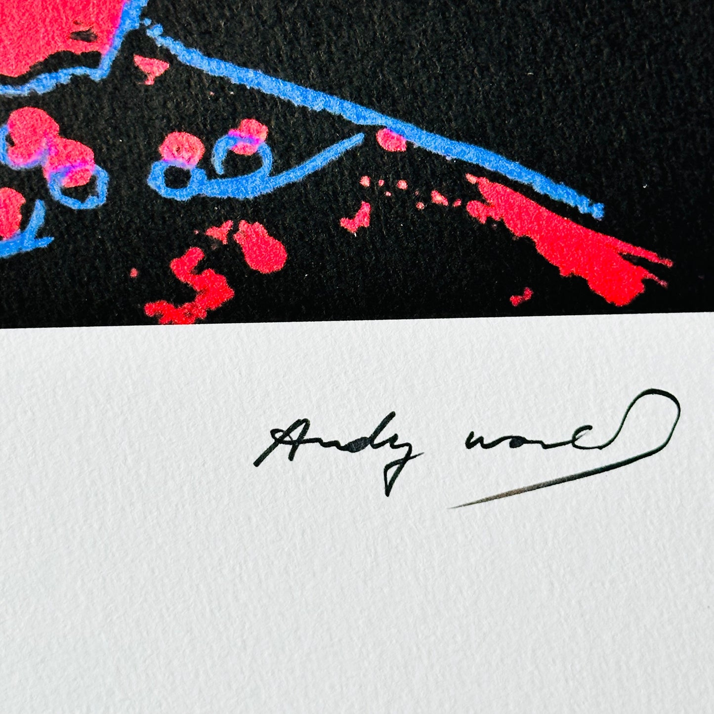 ANDY WARHOL star
