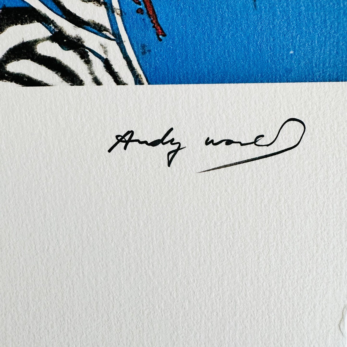 Andy warhol zebra
