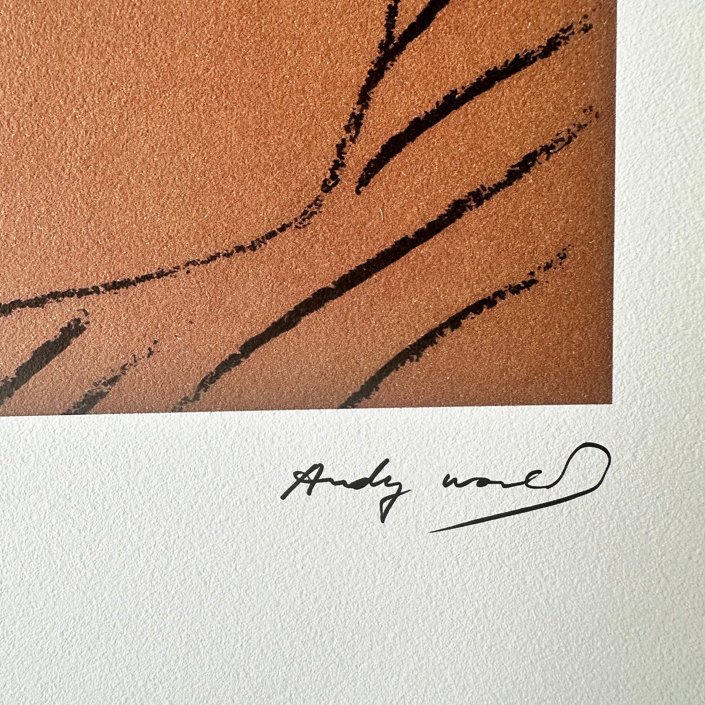 Andy Warhol Mohamed Ali