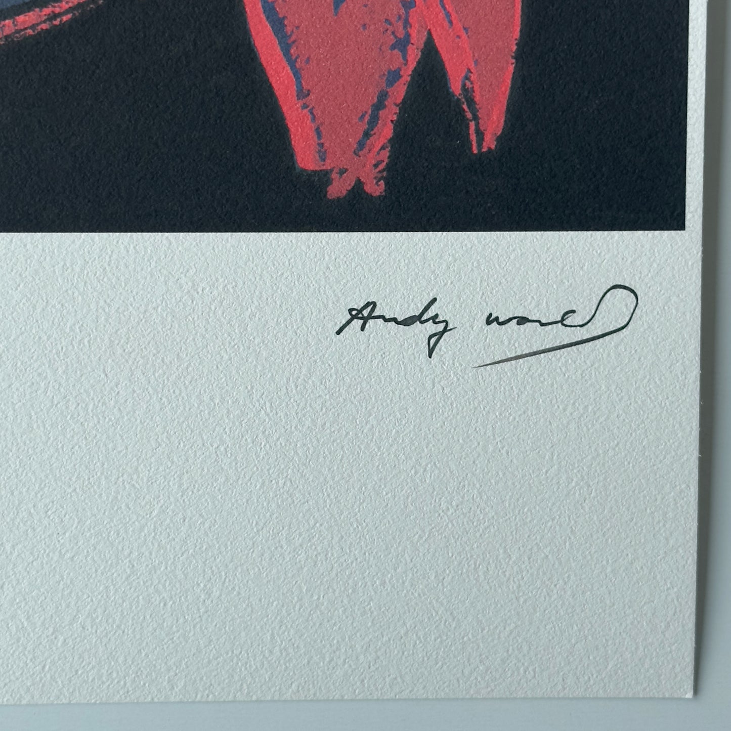 ANDY WARHOL Plains shield