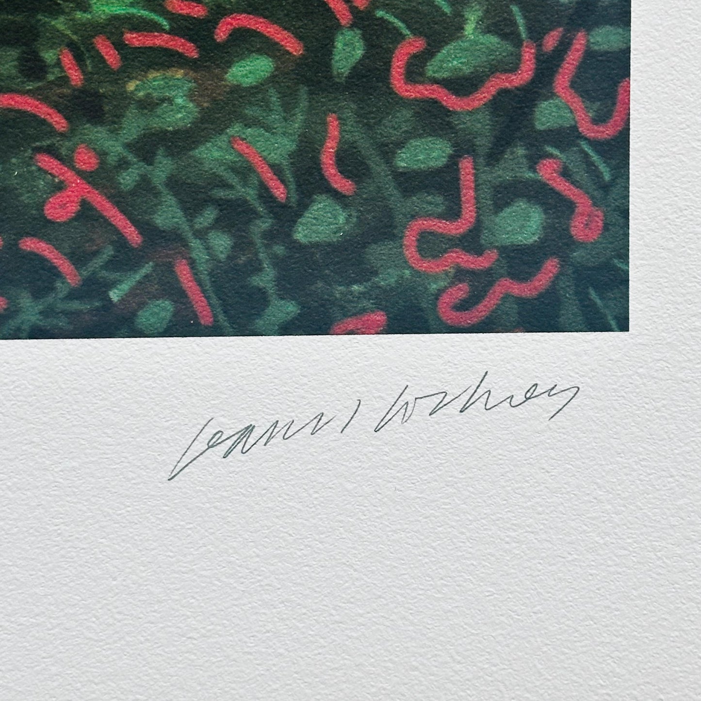 Genummerde editie DAVID HOCKNEY - The Arrival of Spring in Woldgate - Certificaat - Limited lithografie - muurdecoratie - after
