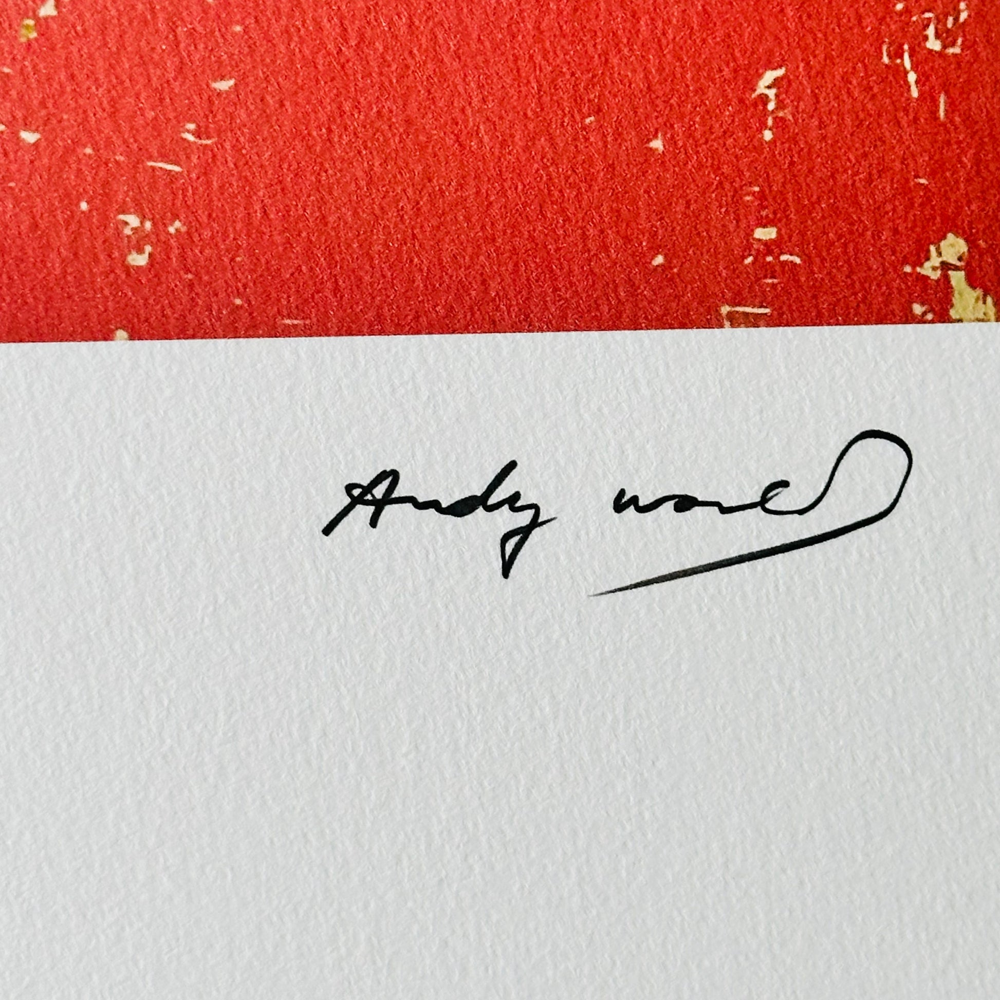 Andy warhol Mao