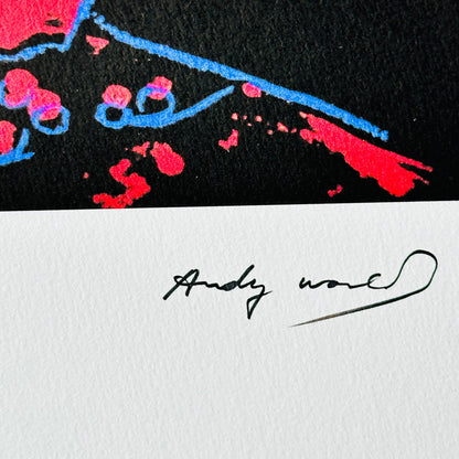 ANDY WARHOL star