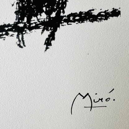 Joan miro