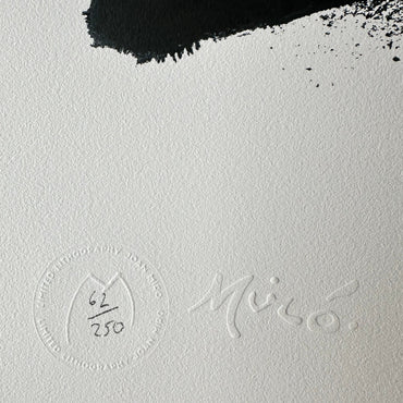 Joan miro