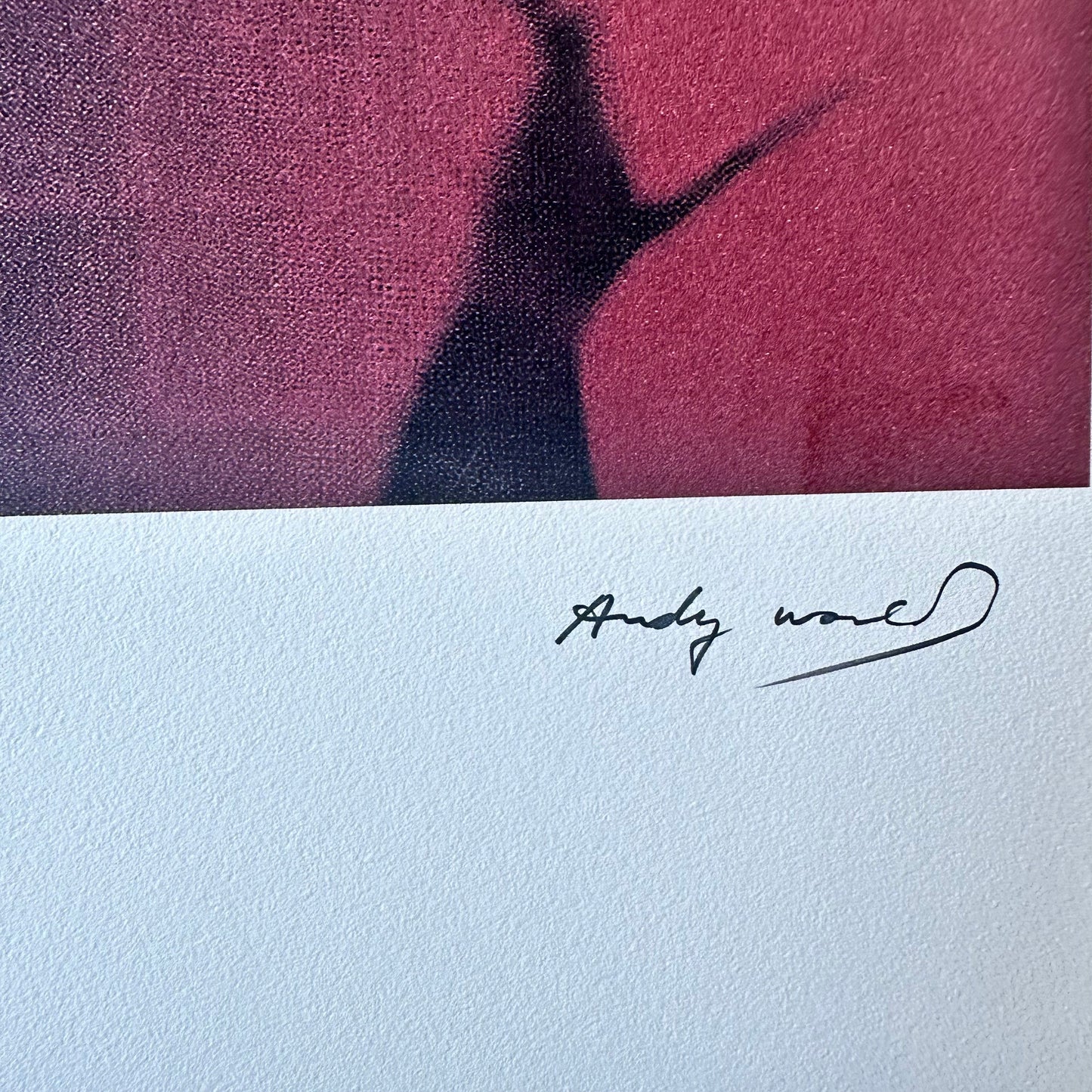 ANDY WARHOL The shadow myths