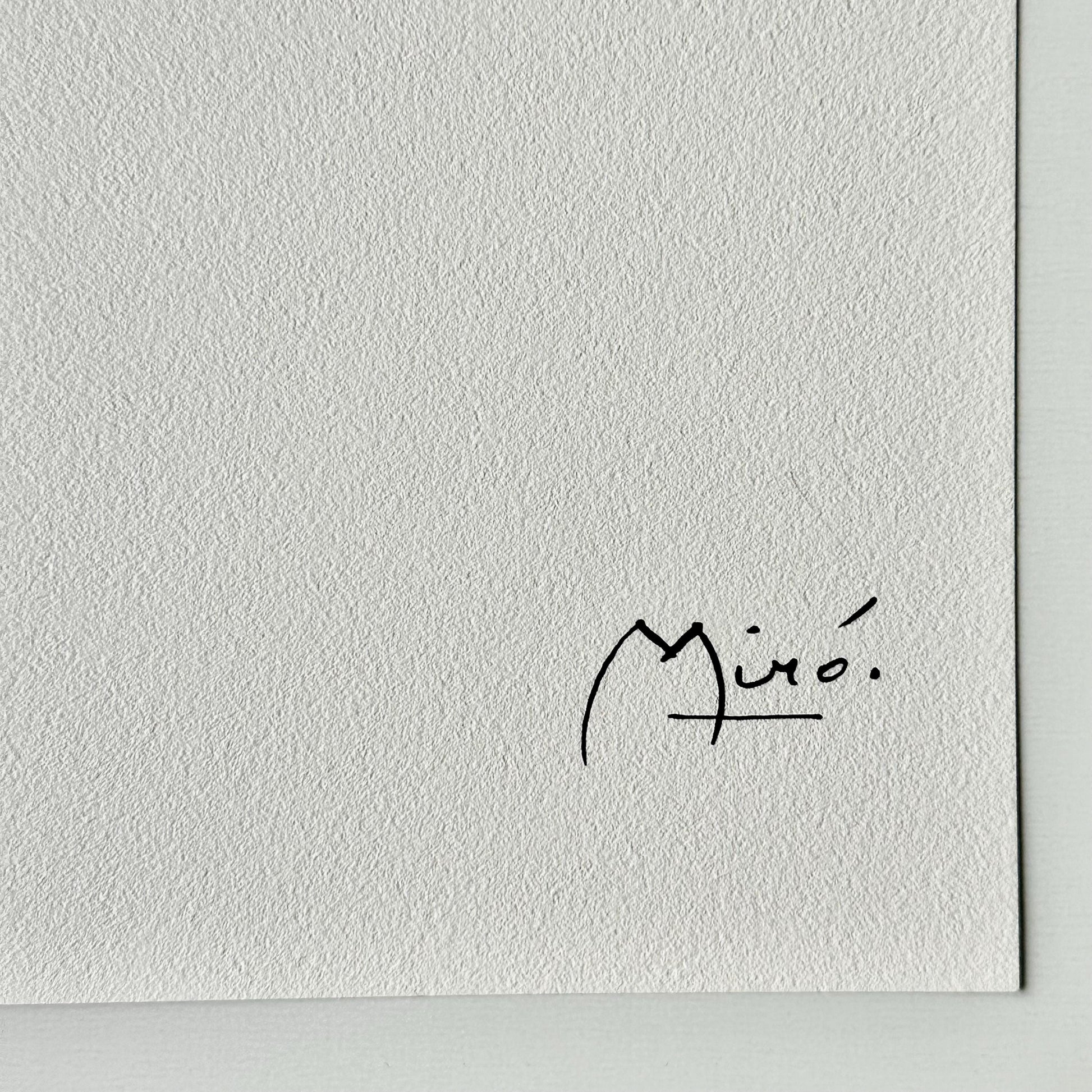 Joan miro