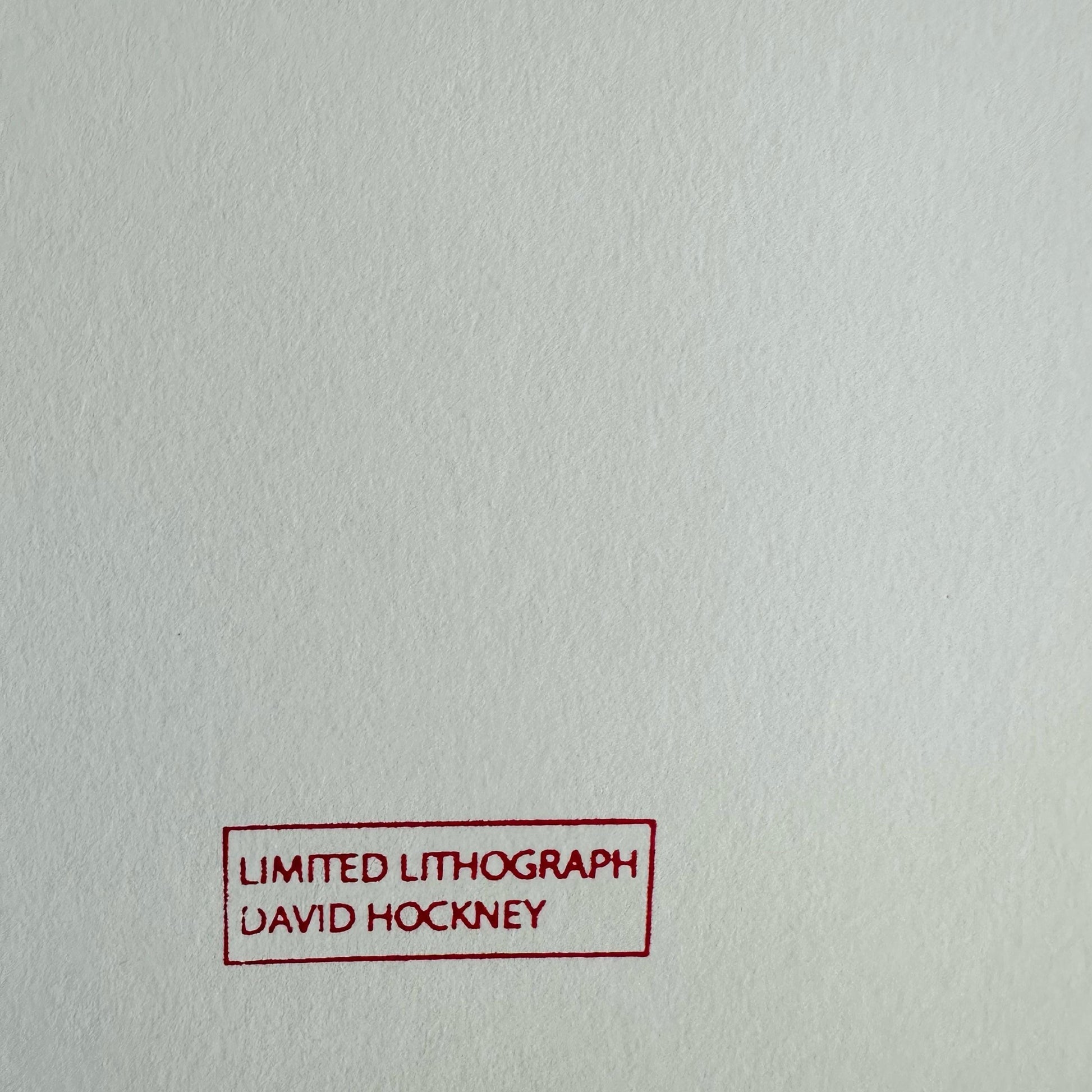 Genummerde editie DAVID HOCKNEY - The Arrival of Spring in Woldgate - Certificaat - Limited lithografie - muurdecoratie - after