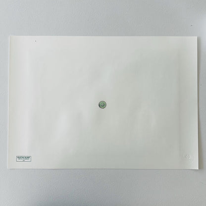 Genummerde editie Gustav Klimt," man en vrouw "de kus van vrede"- Certificaat - kunstdecoratie - unieke kunst lithograph after